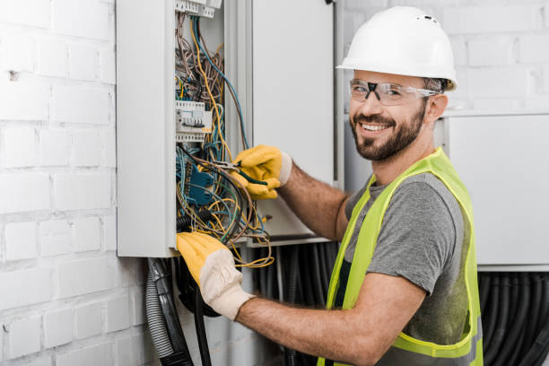 Best Licensed Electrician  in Stanton, MI