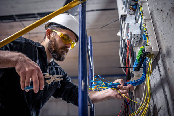 Best Affordable Electrician  in Stanton, MI