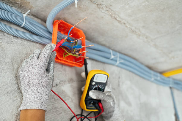 Best Industrial Electrical Services  in Stanton, MI